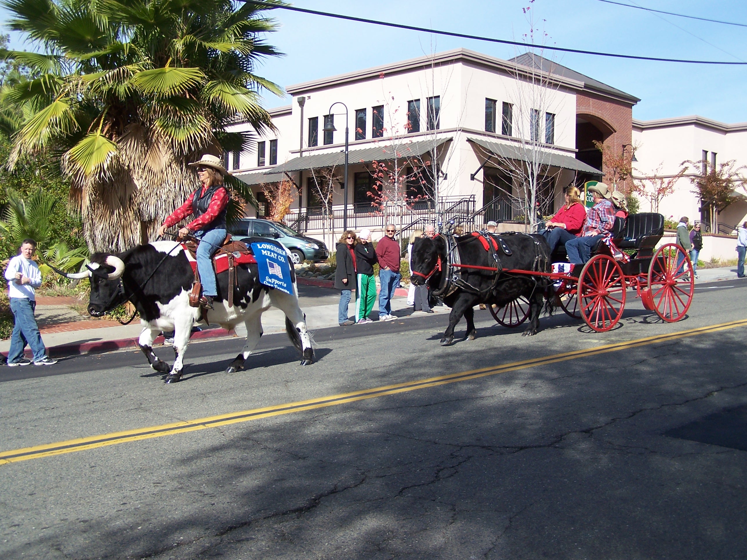 Parade2012_101.jpg